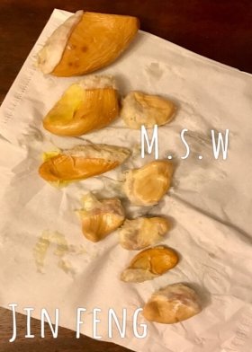 Stinkyspikes: Invitation to visit Fruit Monkeys, Singapore